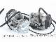 Gasoline Carburetor for Motorcycle Gn125h En125