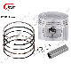  High Quality Motorcycle Engine Piston Kit Cg150 Motorcycle Piston Set