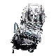  300cc Motorcycle Engine 4-Stroke Air-Cooled Sohc Electrical&Kick Start Engine Zongshen CB300