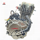 Factory-Sale Loncin Thunderbolt 300cc Tricycle Engine for Bajaj Water-Cooled 4-Stroke Accessories Engine manufacturer
