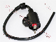 Motorcycle Spare Parts Ignition Coil for Bajaj CT100 Tvsstar Tmx155cdi