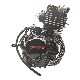 Motorcycle Engine Lifan 300cc for Touring Scooter Quad off-Road Dirt Bike Water Cooled 4 Strokes Tricycle Engine manufacturer