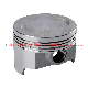  Motorcycle Engine Parts Piston Kit for Zscb200 Wy200