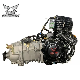 Motorcycle Engine Zongshen 250cc Tricycle Air-Cooled Center Axle 250cc Motor Starter Motorbike Spare Parts Three-Wheel Engine manufacturer