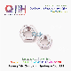  Qbh ISO 4034 M5-M64 Stainless Steel S. S/Ss/SUS 304/316 SS304/SS316 SUS304/SUS316 ISO4034 Hex Nut Motorcycle Replacing Accessories