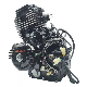  300cc Lifan Water-Cooling 4-Stroke Motorcycle Engine Assembly Lifan Wolf 300cc Tricycle Engine
