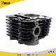  China Motorcycle Spare Parts Cylinder Block Complete for Bajaj100