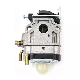  2-Stroke Carburetor Tu26 Tl26 260 Tu260 Gasoline Engine Parts