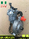  Bison BS160 Spare Parts BS200 BS168f Kit Carburetor for Engine