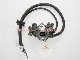  Motorcycle Parts - Oil Pump / Bomba De Aceite (AX-100) Tvsstarhlx150 CB125ace