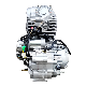  Zongshen Zs172fmm 250cc 4-Stroke 250cc Del Motor Motores De Moto 250cc