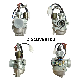 Motorcycle Parts Engine Carburetor for Discover100 China Manufacture