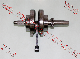  Motorcycle Spare Parts Engine Crankshaft Assy Cg250 CB250 Sh150