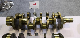  Yanmar Deutz Mazda/KIA Daewoo Custom Made Crankshaft Auto Accessory Motorcycle Crankshaft