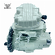 OEM Zongshen Water-Cooling Cg300cc Large Displacement Scooter Engine Fit for High Performance Motorcycle Load Tricycle manufacturer