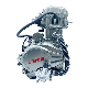  Tricycle Engine Lifan 200cc Motorcycle Engines 5-Speed Transmission Water-Cooled Four Strokes Starter Motors for Cargo