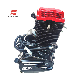  OEM Loncin Motorcycle Spare Parts Cg210cc Air Cooling Large Displacement Engine Suitable High Performance Moto Tricycle