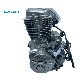  OEM Motorcycle Lifan Cg175cc Air-Cooled Engine Motorcycle 175cc Engine Assembly Suitable for Tricycle Freight