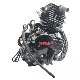  for Bajaj Motorcycle 4-Stroke Water-Cooling Engine Parts Lifan Wolf 300cc Engine