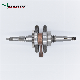  Good Price Motorcycle Parts Engine Parts Motorcycle Alloy Steel Crankshaft