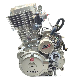  for Bajaj 4-Stroke Water-Cooling Tricycle Engine Assembly Loncin Thunderbolt 300cc Engine