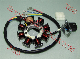  Motorcycle Parts Motorcycle Magneto Coil Stator for Honda Cg125 Cg150 8coils