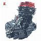  OEM Original Factory Loncin Motorcycle Parts Engine 300cc Water-Cooling Suitable High Displacement Scooter Tricycle