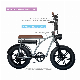  48V Lithium Battery 7 Speed Electric Bicycle Hydraulic Aluminum Lockout Suspension Ebike Electric Bike Electric Motorcycle