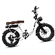  750W Aluminum Alloy Frame 10ah Lithium Battery Electric Fat Motorcycle