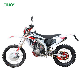 2024 Aluminium Alloy 12V White 450cc Motorcycle for Adults