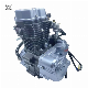  OEM Zongshen Cg250cc Water-Cooling 4-Stroke Engine Suitable Large Displacement Moto Tricycle Cargo