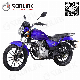  New Modle 175cc/200cc Gn Aluminium Alloy Durable Street/Sports Motorcycle