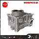  HSP Motorcycle Parts Cylinders For YAMAHA NMAX155 STD DIA 58MM. RACING 62MM63MM