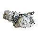 Reinforce Clutch 500W Oil Cooling System 1 Cylinder Engine Zongshen 4 Stroke
