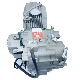  Reinforce 500W Oil Cooling System 1 Cylinder Engine Zongshen W190