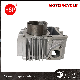  HSP Motorcycle Parts Manufacturer  Cylinder Block Kit For CRYPTON JY100 49mm