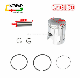  Ww-9132 Motorcycle Parts Piston Assy for Gy6-150