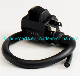  Motorcycle Spare Parts Ignition Coil Bobinas for An125