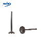  Motorcycle Engine Valve Intake Exhaust Valve for Fz16