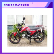  Dirt Bike 150cc 125cc 8000W Moter 350cc 2 Stroke Grom Yemen Angola off Road Moped Sale Online Gas Motorcycle