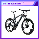 26 Inch Nice Quality Mountain Bike Can Customized 27.5/29 manufacturer