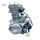 High Quality Lifan 200cc Water-Cooled Engine 4 Stroke Tricycle 200cc Engine