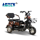3 Wheel Motorcycle for Cargo Adult in Israel Adults Truck Taxi 1200W 250W Passenger EEC 2 People Gasoline Van Electric Tricycle manufacturer