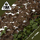 Durable Tough Oxford Cloth-Tear-Resistant Woodland Camouflage Net manufacturer