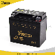 Motorcycle Accessories Motorcycle Battery Yt5l-BS