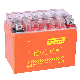  12V/3/5/7/9/12/14ah 12V SLA Lead Acid Maintenance Free Manufacturer Wholesale Motorcycle Lead Acid Battery