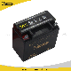 12n9-BS Motorcycle Engine Parts Maintenance-Free Lead Acid Rechargeable Motorcycle Battery manufacturer