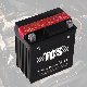  12V 9ah YTX7L-BS Electric Scooter Battery With Plate Factory