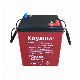  6V330ah Golf Buggies Battery High Temperature Trojan Quality Deep Cycle AGM/Gel Battery