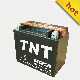  Btx3l-BS Mf Maintenance Free Battery Acid Battery Motorcycle Battery